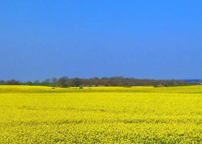 Appartement Wiese Süssau
